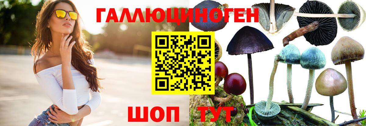 Псилоцибиновые грибы Cubensis  Вход с VPN  Ижевск 